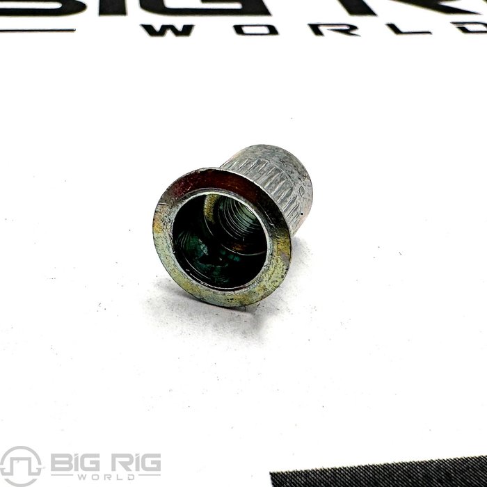 Insert-M6 615034BSM - Bergstrom