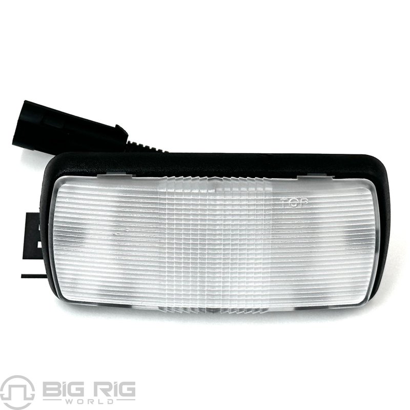 Courtesy Lamp, Door K256-767 - Paccar