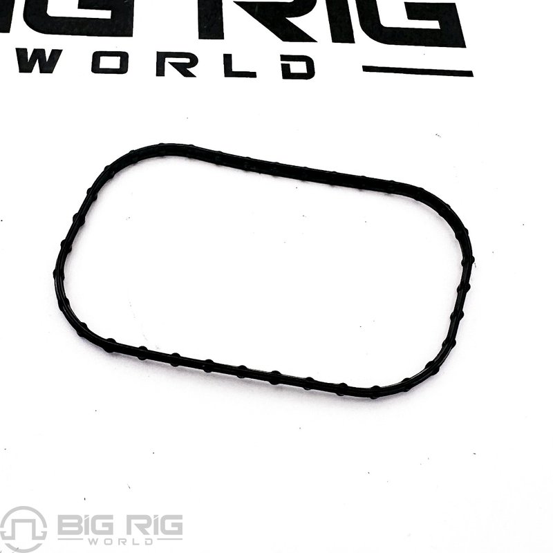 Seal, Water Pump 3685456 - Cummins