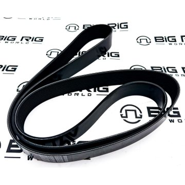 V Ribbed Belt 3682891 - Cummins
