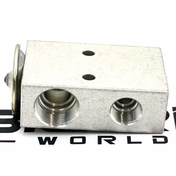 Expansion-Valve SR2000016 - Bergstrom
