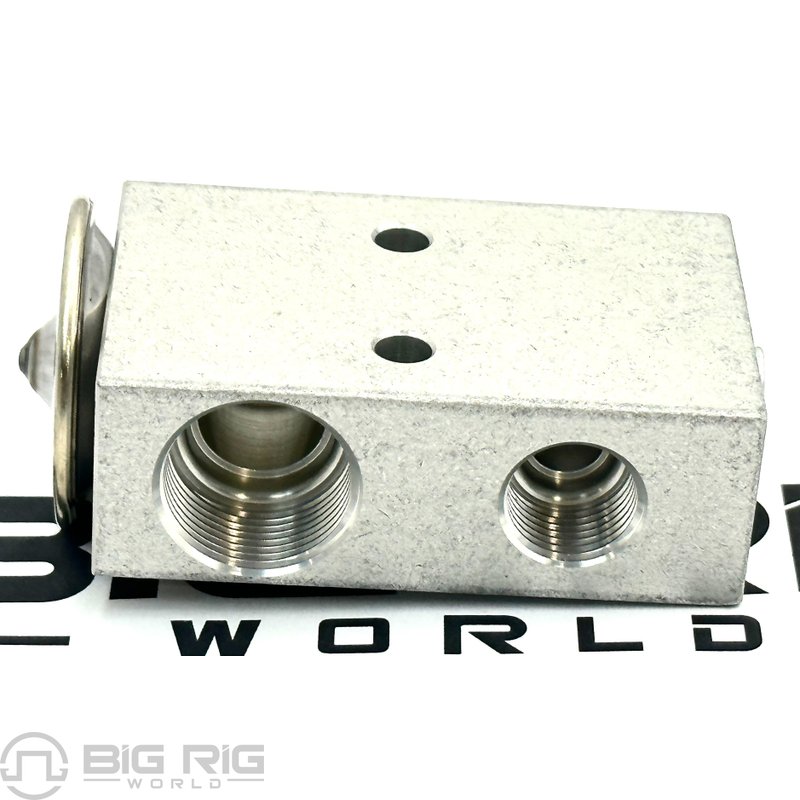 Expansion-Valve SR2000016 - Bergstrom