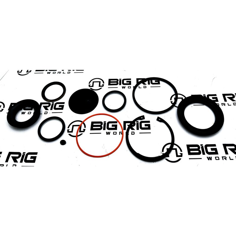 Kit - Sector Shaft Seal 5545741TRP - TRP