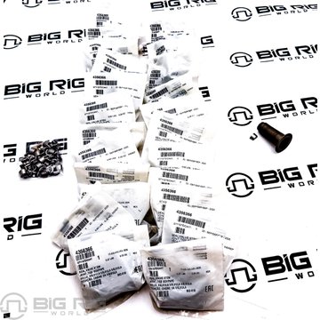 Valve Seal Kit 4376219 - Cummins