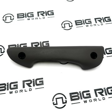 Door Pull Grip RH 74601TK110 - Kenworth