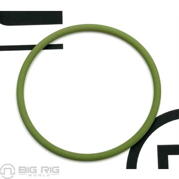 O-Ring, Unit Pump, Lower 1871307PE - Paccar Engine