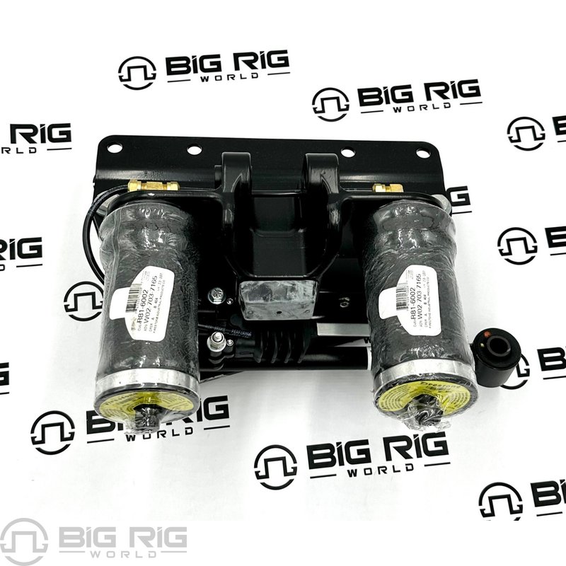 Cab Suspension Assembly WL380 R62-6008 - Peterbilt