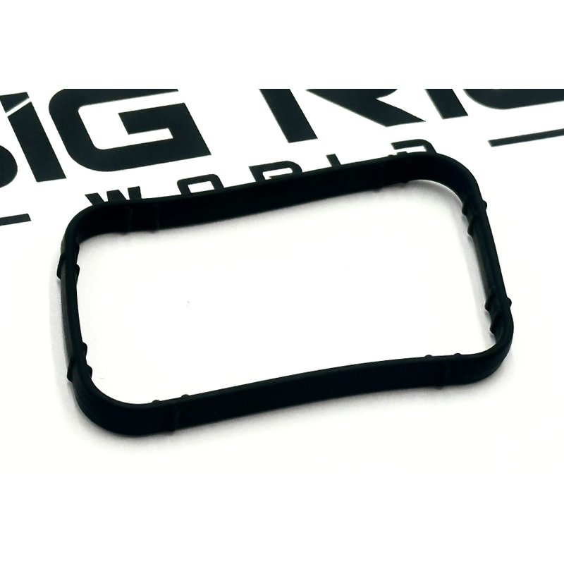 Gasket 1906958PE - Paccar Engine