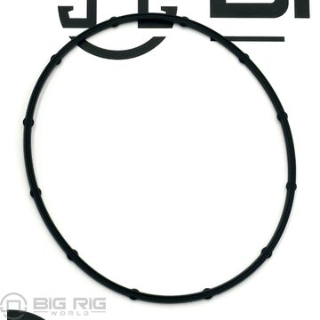 Seal - Ring Rectangular 4985661 - Cummins