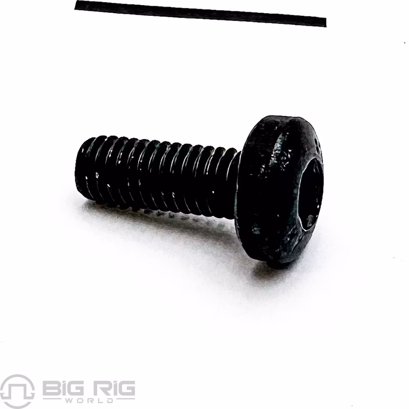 Hexal Rec Screw M6 x 16 1295126PE - Paccar Engine