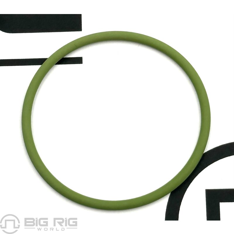 O-Ring, Unit Pump, Lower 1871307PE - Paccar Engine