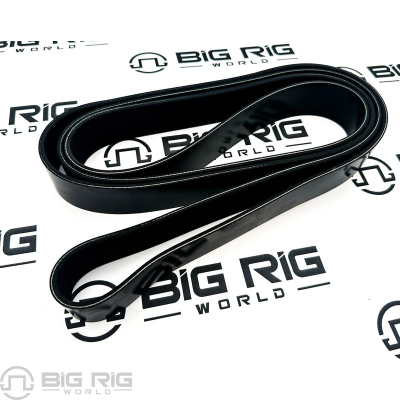 Belt-Poly 12 Ribs X 2555 End/Plystr D84-1000-6122555 - Paccar