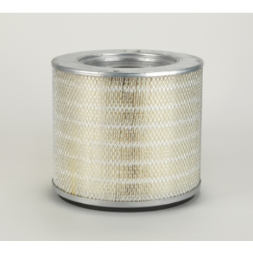 Primary Air Filter P119417 - Donaldson