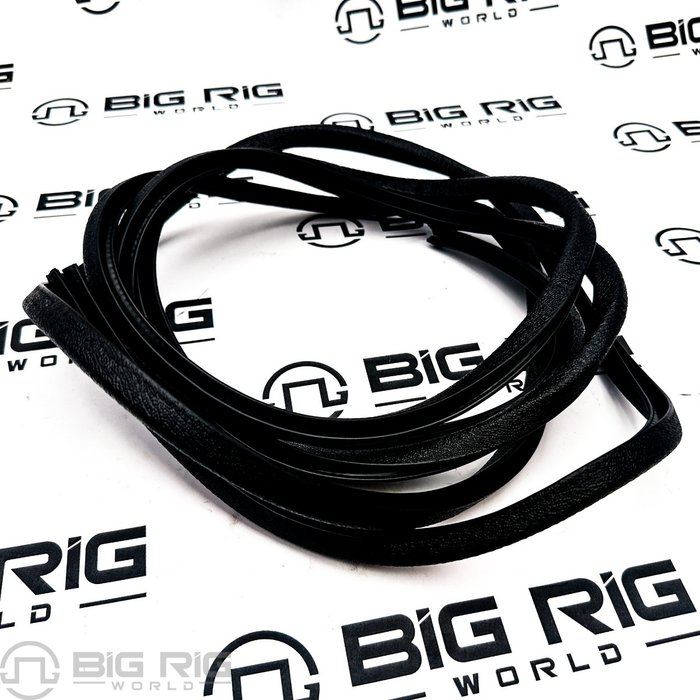 Weatherstrip, Door, Cab Dr 135 In. 449765C1 - International