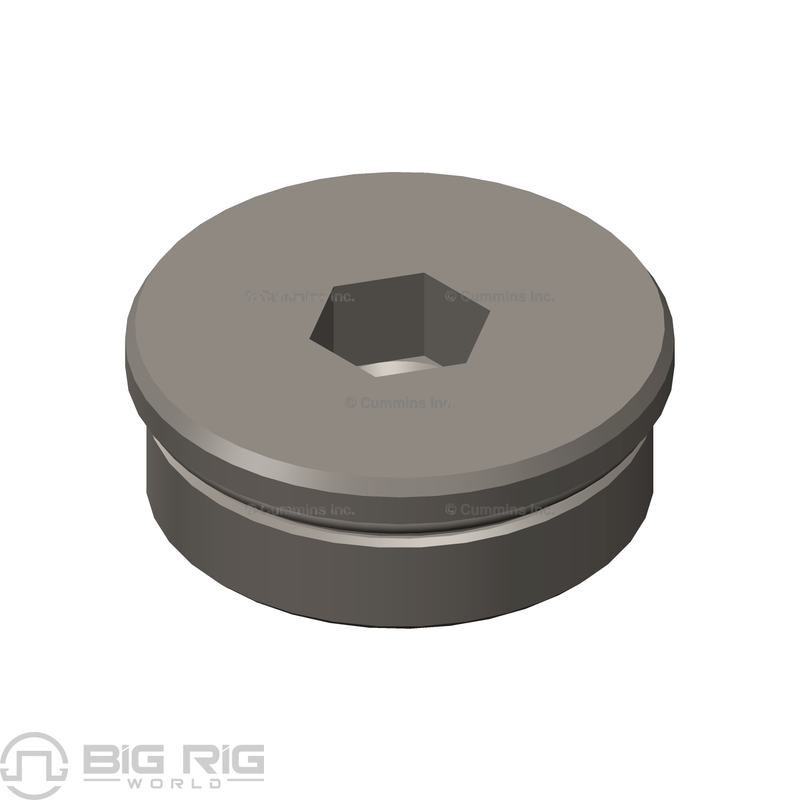 Threaded Plug 3679880 - Cummins