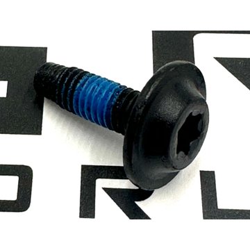 Fastener - Screw M6 1.0X19 STL10.9 TORX S34-6003-0619RXL0B - M&M Fastener