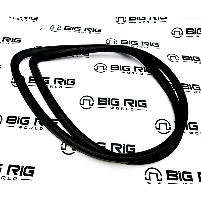 Door Window Channel Seal - Right Side 4053431C6 - International