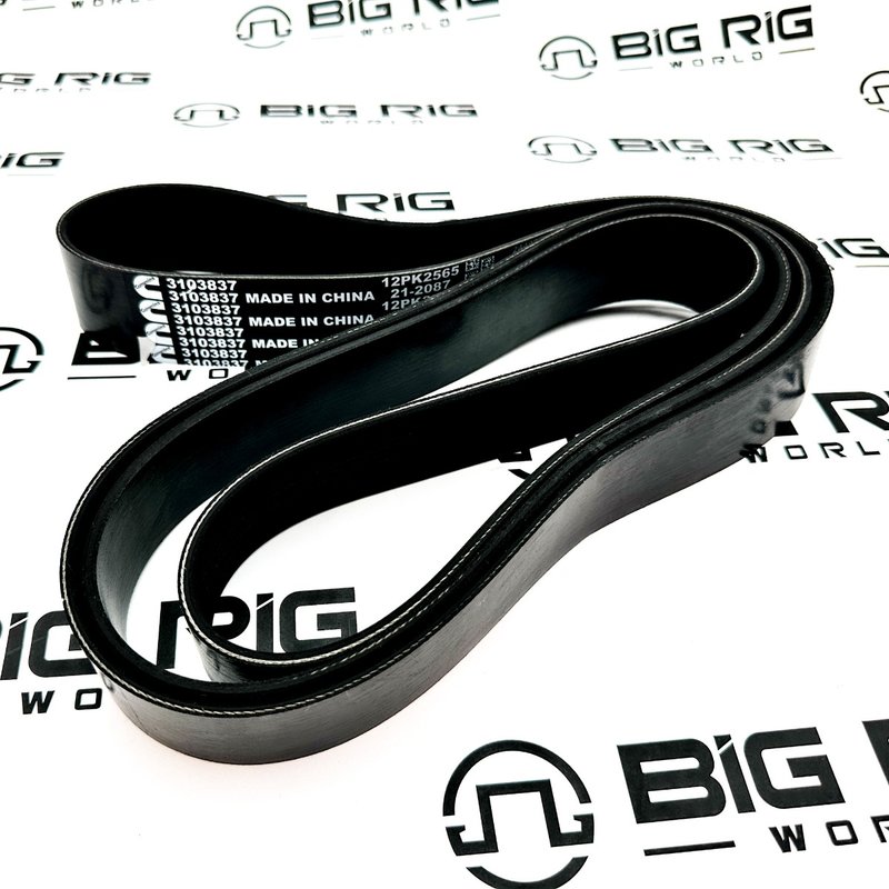 V Ribbed Belt 3103837 - Cummins