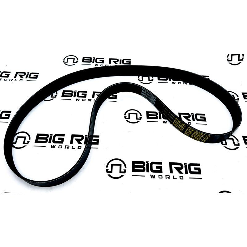 Belt - 10 Rib, 1503 Mm, Hdep Fan 01-35625-503 - Freightliner