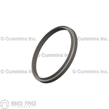 Oil Seal 3004316 - Cummins
