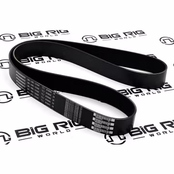 Belt-Engine 12 Rib 1640mm D84-1002-121640 - Paccar