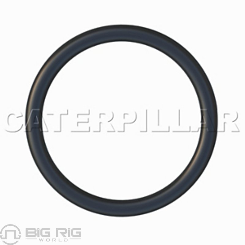 Seal 295-5609 - CAT