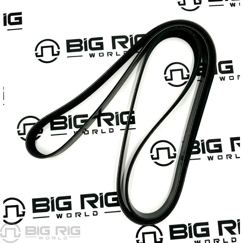 Belt - Poly 8 Ribs D84-1000-3082125 - Paccar
