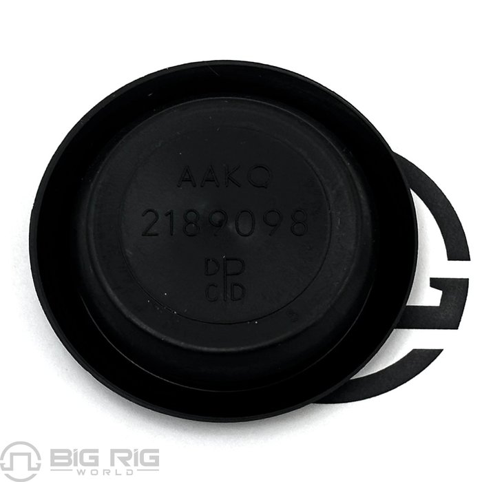 Hole Plug - Sleeper, Recessed, Head, 1.0 23-11688-014 - Freightliner