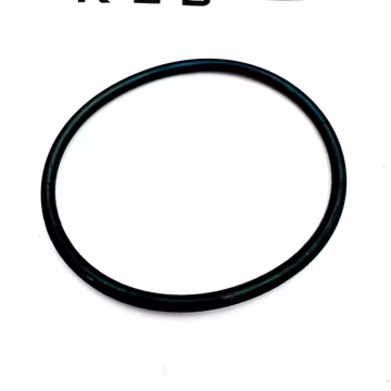 Water Pump Gasket 2022929PE - Paccar