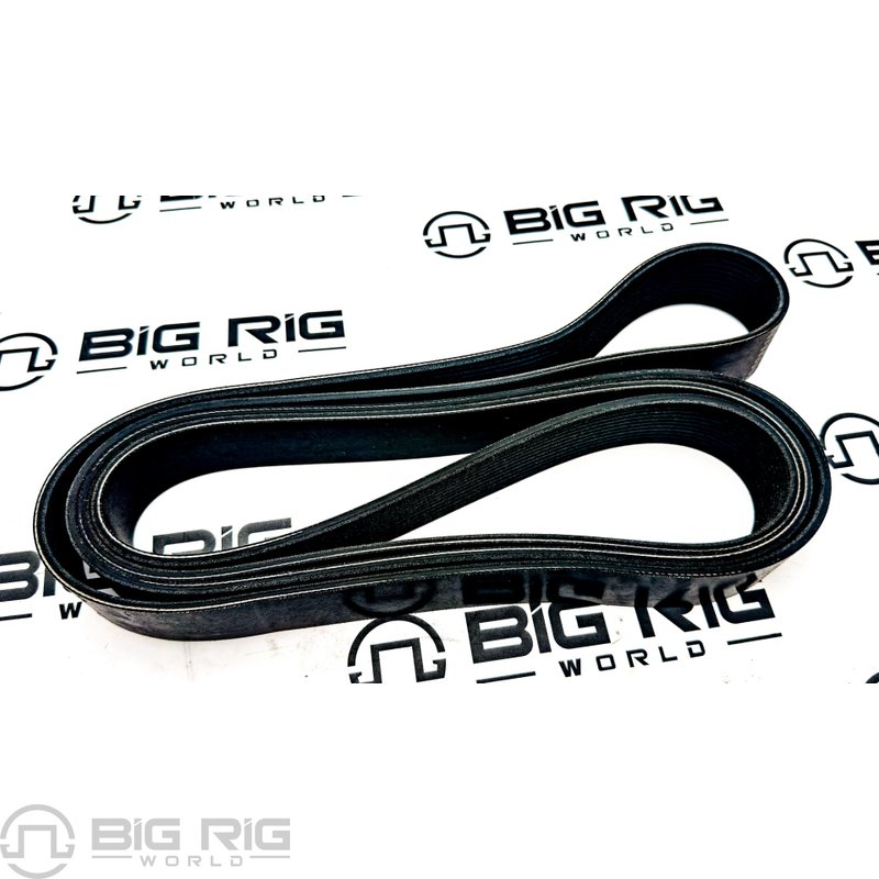 Belt-Poly 12 Ribs X 2990 Orion Hd/Ply D84-1000-3122990 - Paccar