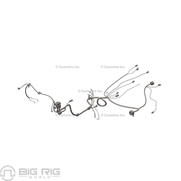 Harness-Wiring 3681451 - Cummins
