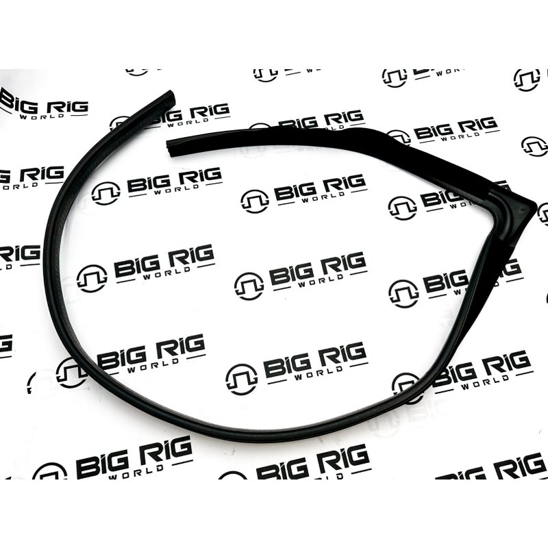 Door Window Channel Seal - Right Side 4053411C2 - International