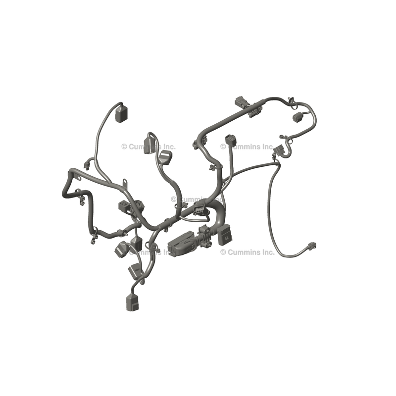 Harness Wiring - Engine 5336409 - Cummins