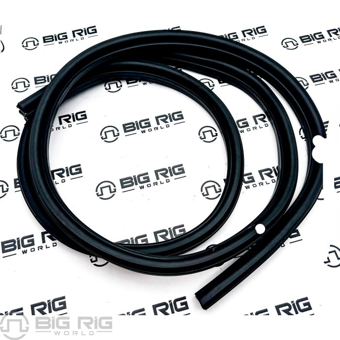 Seal, Secondary, Cab Door, P3 A18-61958-001 - Freightliner