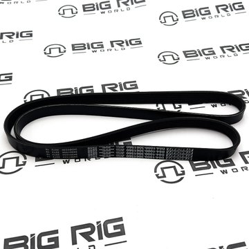 Belt - 6 Ribs x 1560 Orion HD D84-1000-3061560 - Paccar