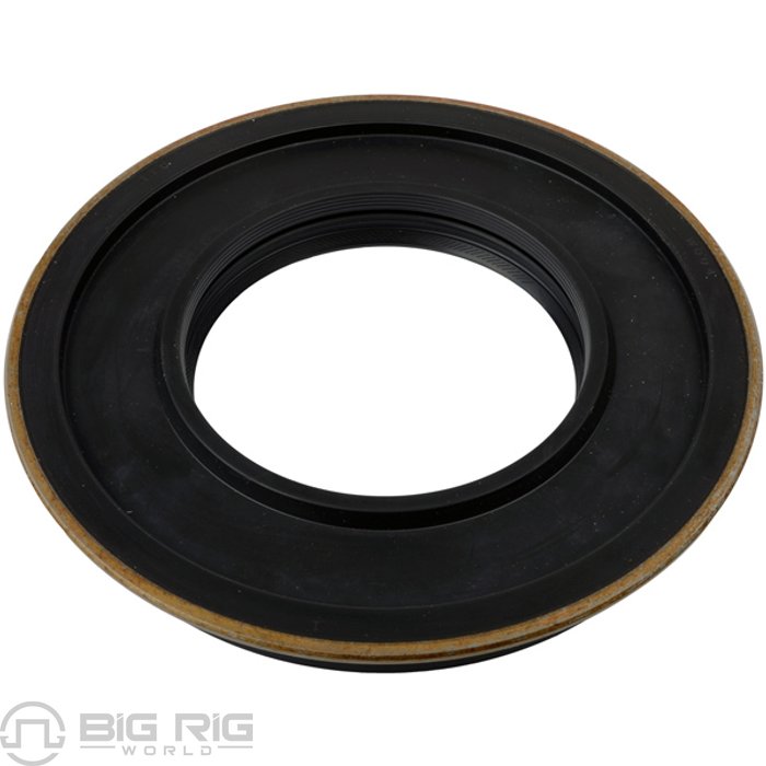 Seal 33254CHR - SKF