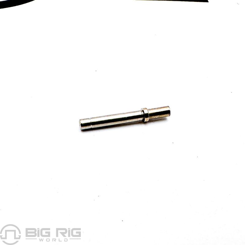 Socket-Terminal Deutsch Size 20 CN24660 - Paccar