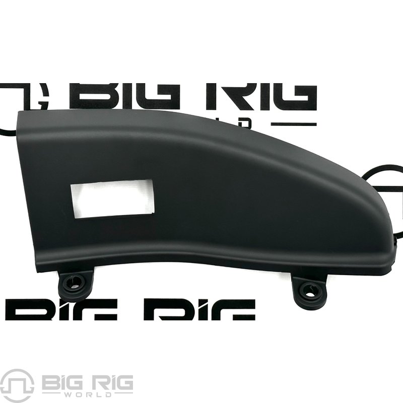 Panel - Switch, Cab Door, Gray, Right Hand 18-31670-001 - Freightliner