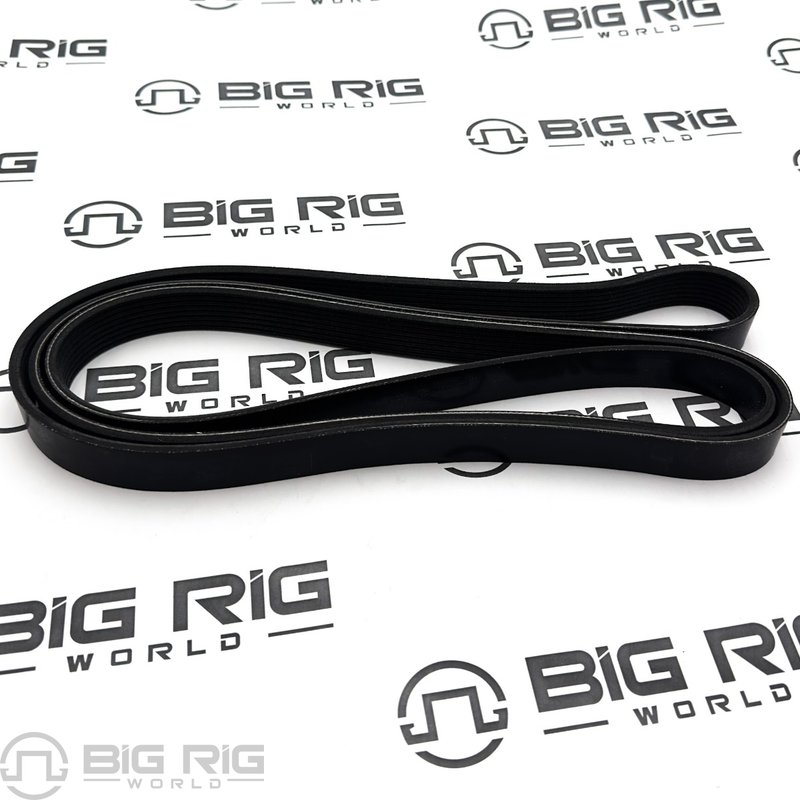 Belt - Poly 8 Ribs X 2420 Orion HD/PLYSTR D84-1000-3082420 - Paccar