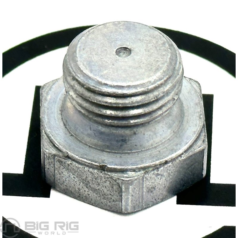 Plug 0214024PE - Paccar Engine