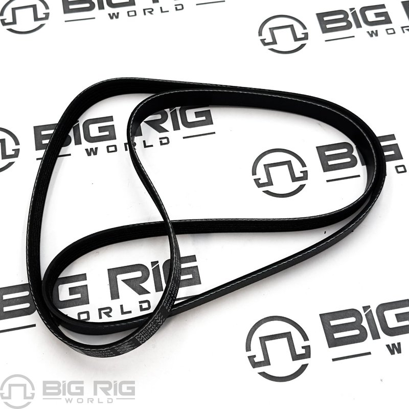 Belt, V Ribbed 3696704 - Cummins