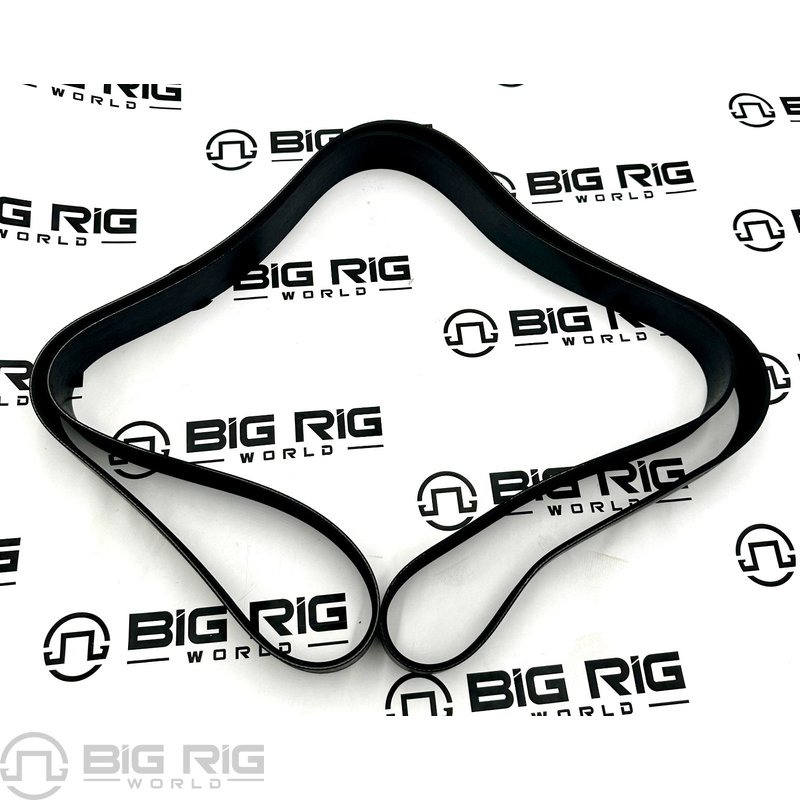 Belt-Poly 12 Ribs X 2665 End/Plystr D84-1000-6122665 - Paccar