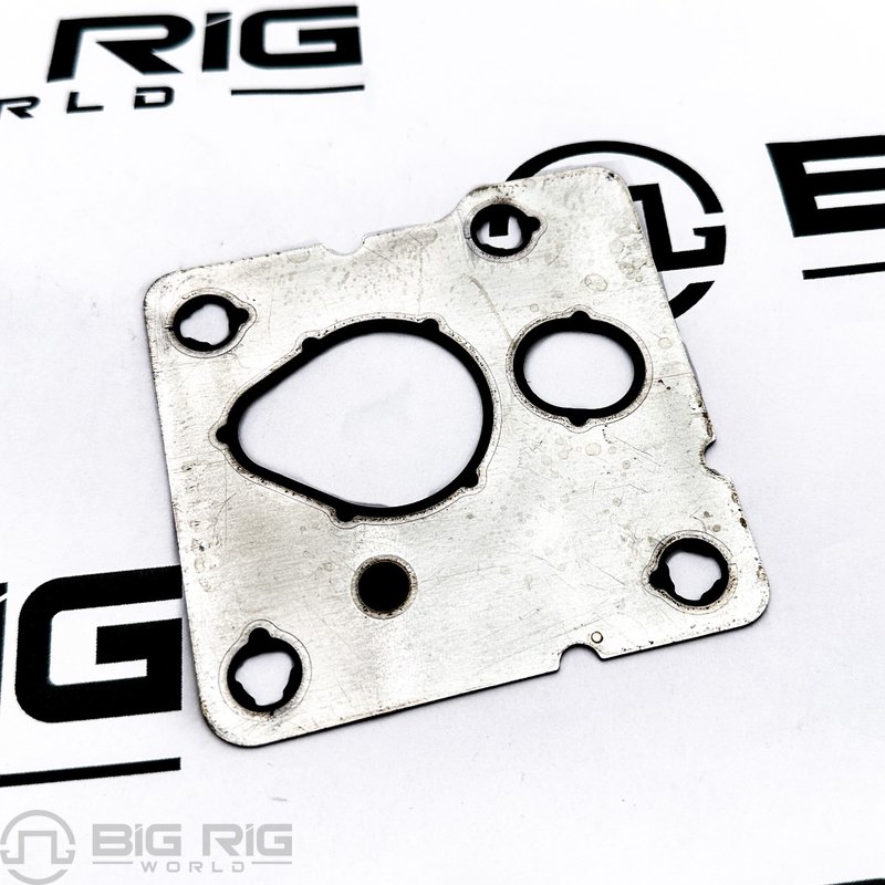 Support Gasket 4954474 - Cummins
