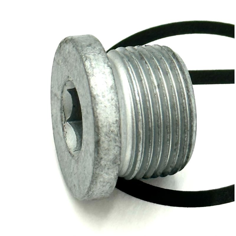 Screw Plug, M22 N000908022011 - Detroit Diesel