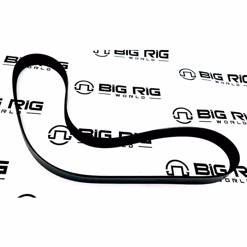 Belt-Poly 8 Ribs X 48 1/2 El 485K8BLT - Paccar