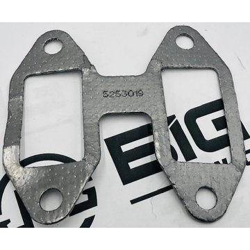 Gasket Exhaust  RCN Valve 5253019 - Cummins