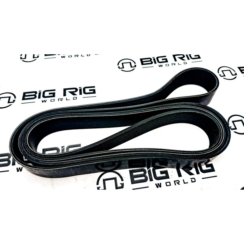 Belt-Poly 12 Ribs X 2990 Orion Hd/Ply D84-1000-3122990 - Paccar