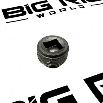 Square Socket Magentic Plug 3/4-14 C20-6007 - Paccar