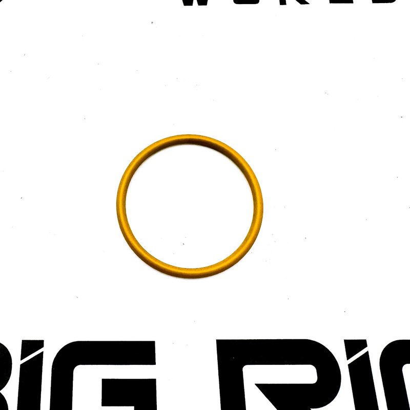 O-Ring A0319977345 - Detroit Diesel