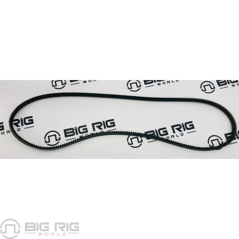 V Belt - 17/32 TW x 61 1/2 EL 17615BLT - TRP